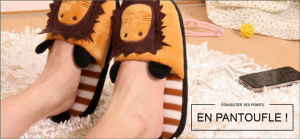 Consulter ses points en pantoufles par France Connect permis